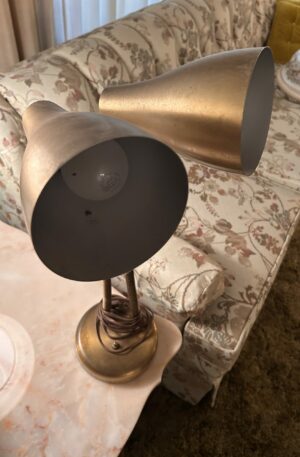 Timeless Glow | Mid-Century Modern Double Gooseneck Lamp – Brushed Brass Beauty