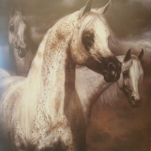 “On The Alert Three Greys” – Signed & Numbered Arabian Horse Print by Deborah Rush (Framed)