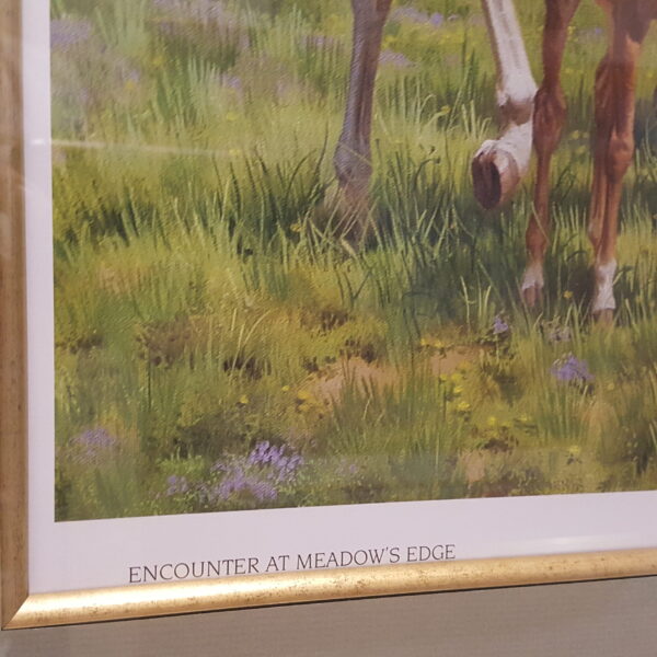 Encounter at Meadow’s Edge – Signed & Numbered by Mary Haggard 992/2595 - Image 4