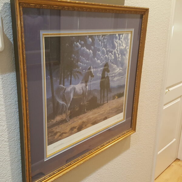 Moonlit Majesty – Signed “Light of the Moon” by Mary Haggard (33x30, Framed, 1167/2495) - Image 2