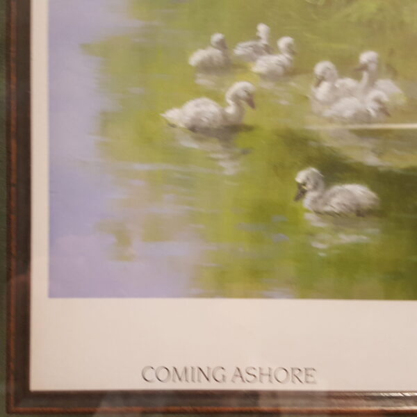 Peaceful Crossing – Mary Haggard “Coming Ashore” Framed Horse & Swans Print - Image 4
