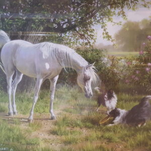 "Let’s Play" by Mary Haggard – Framed Print of White Mare & Shelties at Play 20"x18" Signed