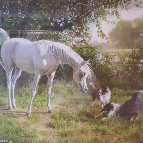 "Let’s Play" by Mary Haggard – Framed Print of White Mare & Shelties at Play 20"x18" Signed