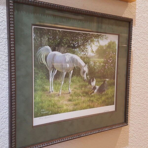 "Let’s Play" by Mary Haggard – Framed Print of White Mare & Shelties at Play 20"x18" Signed - Image 2