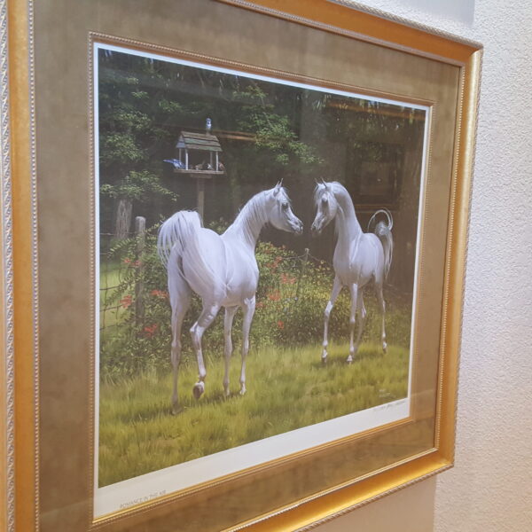 Romance in the Air – Hand-Signed Mary Haggard Limited Edition | White Arabians in Bloom 30x26 Framed - Image 2