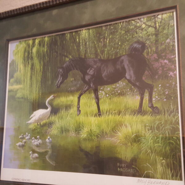 Peaceful Crossing – Mary Haggard “Coming Ashore” Framed Horse & Swans Print - Image 2