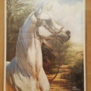 “Daughter of Egypt” by Mary Haggard – Regal Arabian Horse Portrait (Signed LE 352/2750, Framed 30x24)
