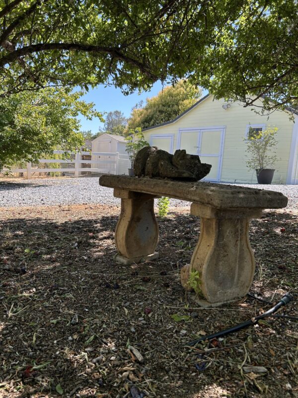 Curved Concrete Garden Bench - 41" Long Vintage Outdoor Seating Sculpted Legs - Image 3