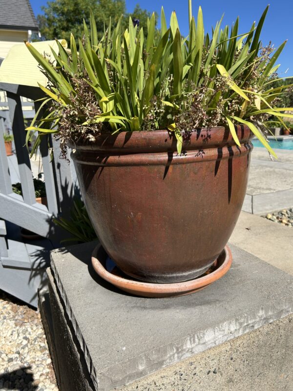 Timeless Bronze Color Ceramic Garden Planters (Set of 3) – With Mature Greenery - Image 6