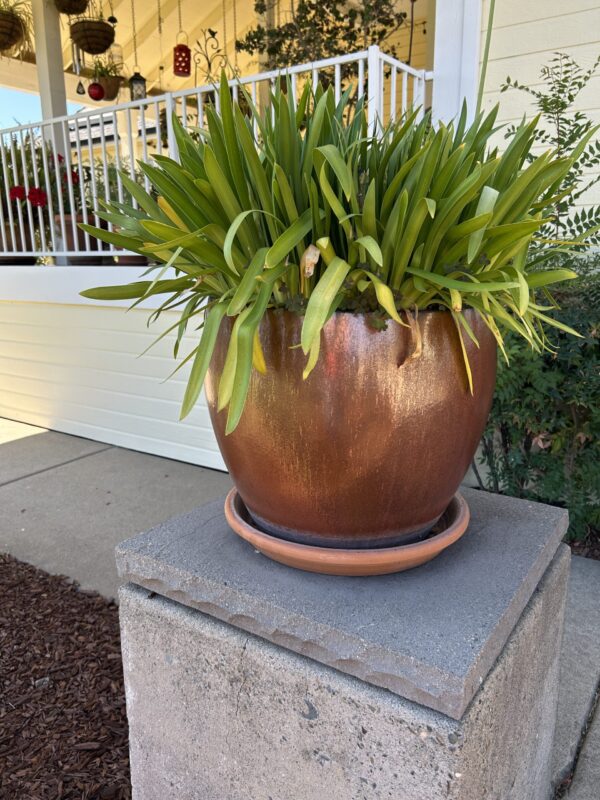Timeless Bronze Color Ceramic Garden Planters (Set of 3) – With Mature Greenery - Image 2