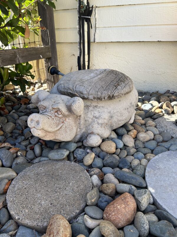 Large Concrete Pig Planter or Hose Holder – Rustic Garden Utility - Image 3
