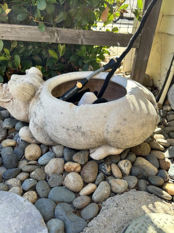 Large Concrete Pig Planter or Hose Holder – Rustic Garden Utility - Image 2