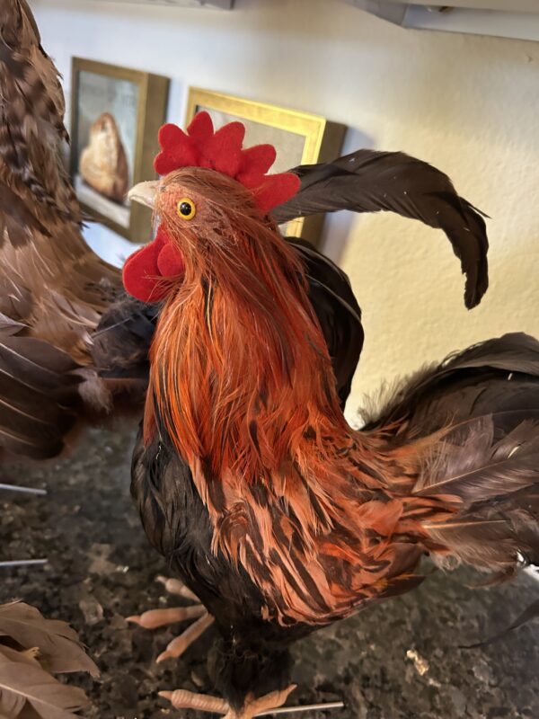 Fiery Morning Glory – Real Feather Rooster Décor 19" - Image 4