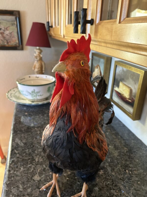 Fiery Morning Glory – Real Feather Rooster Décor 19" - Image 7
